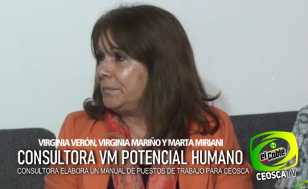 CONSULTORA VM TRABAJANDO EN CEOSCA